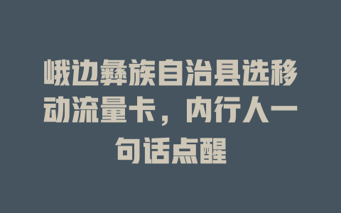 峨边彝族自治县选移动流量卡，内行人一句话点醒