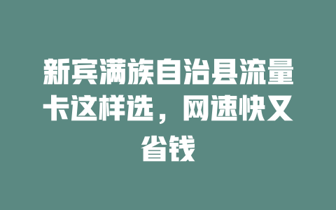 新宾满族自治县流量卡这样选，网速快又省钱