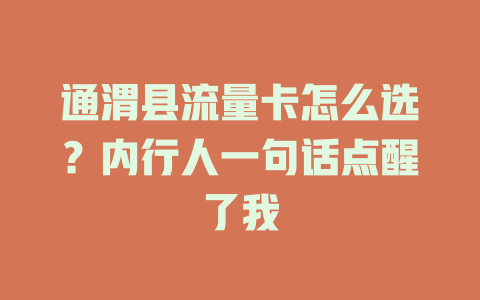 通渭县流量卡怎么选？内行人一句话点醒了我