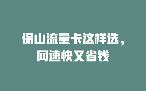 保山流量卡这样选，网速快又省钱