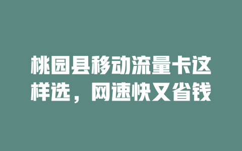 桃园县移动流量卡这样选，网速快又省钱
