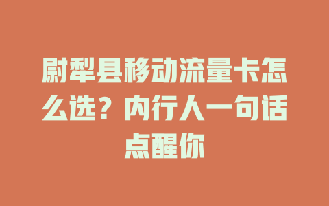 尉犁县移动流量卡怎么选？内行人一句话点醒你