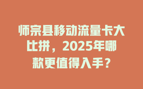 师宗县移动流量卡大比拼，2025年哪款更值得入手？