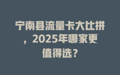 宁南县流量卡大比拼，2025年哪家更值得选？