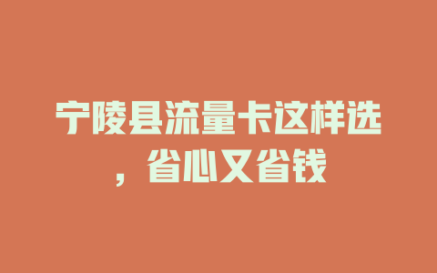 宁陵县流量卡这样选，省心又省钱