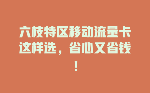 六枝特区移动流量卡这样选，省心又省钱！