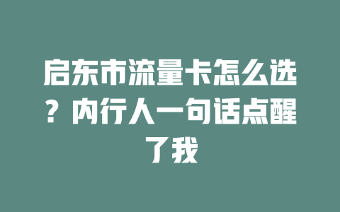 启东市流量卡怎么选？内行人一句话点醒了我