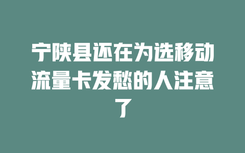 宁陕县还在为选移动流量卡发愁的人注意了