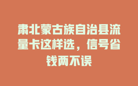 肃北蒙古族自治县流量卡这样选，信号省钱两不误