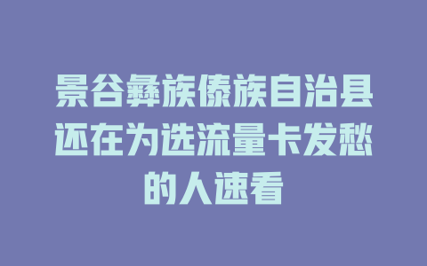 景谷彝族傣族自治县还在为选流量卡发愁的人速看