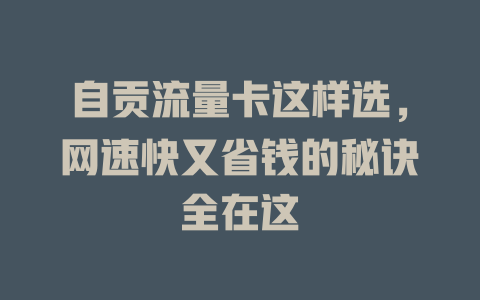 自贡流量卡这样选，网速快又省钱的秘诀全在这