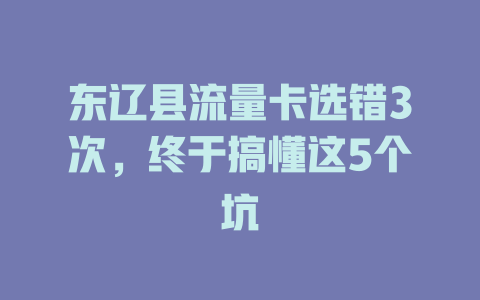 东辽县流量卡选错3次，终于搞懂这5个坑
