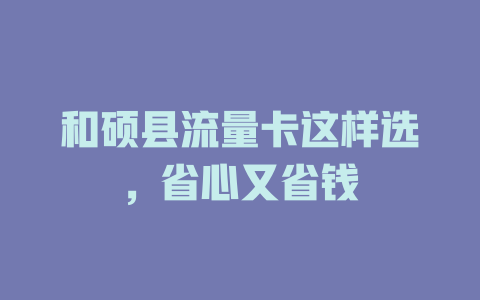 和硕县流量卡这样选，省心又省钱