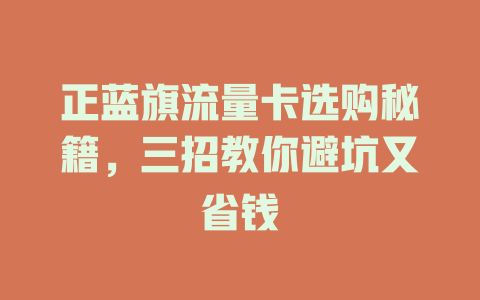 正蓝旗流量卡选购秘籍，三招教你避坑又省钱