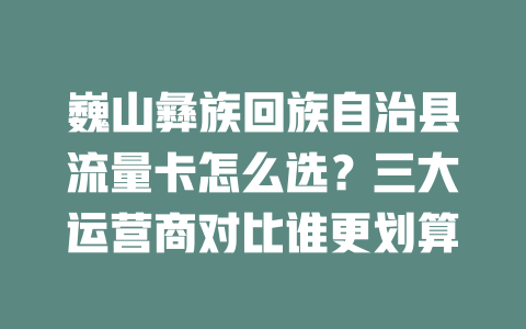 巍山彝族回族自治县流量卡怎么选？三大运营商对比谁更划算