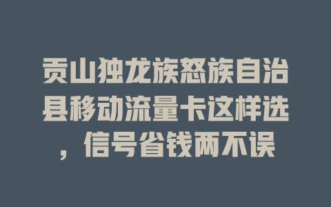 贡山独龙族怒族自治县移动流量卡这样选，信号省钱两不误