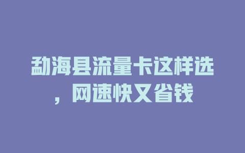 勐海县流量卡这样选，网速快又省钱