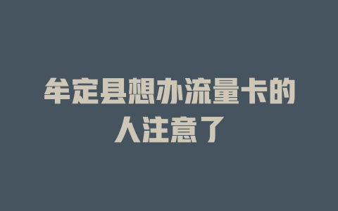 牟定县想办流量卡的人注意了