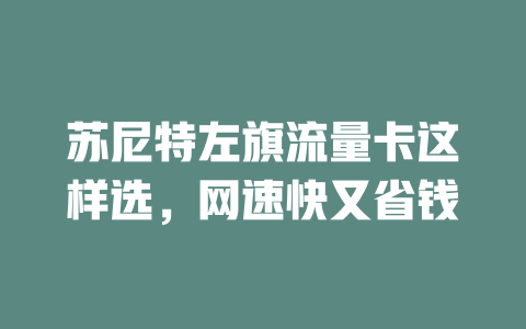 苏尼特左旗流量卡这样选，网速快又省钱