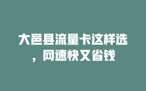大邑县流量卡这样选，网速快又省钱
