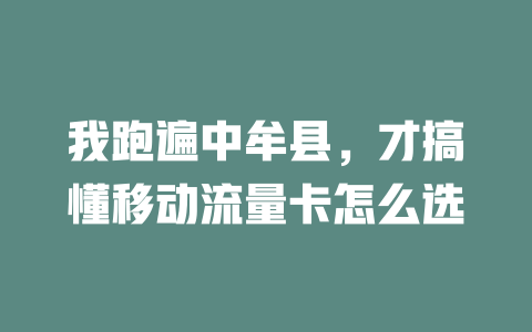 我跑遍中牟县，才搞懂移动流量卡怎么选