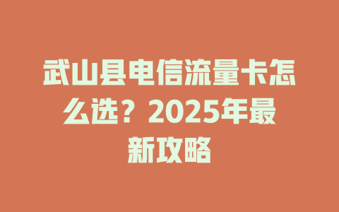 武山县电信流量卡怎么选？2025年最新攻略