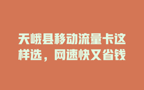 天峨县移动流量卡这样选，网速快又省钱