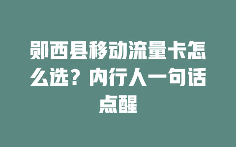 郧西县移动流量卡怎么选？内行人一句话点醒