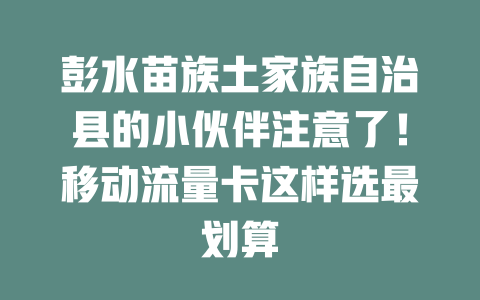 彭水苗族土家族自治县的小伙伴注意了！移动流量卡这样选最划算