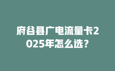 府谷县广电流量卡2025年怎么选？