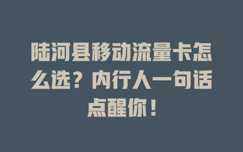 陆河县移动流量卡怎么选？内行人一句话点醒你！