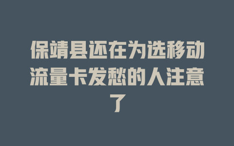 保靖县还在为选移动流量卡发愁的人注意了