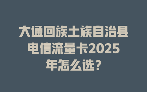 大通回族土族自治县电信流量卡2025年怎么选？