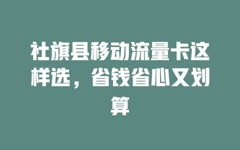 社旗县移动流量卡这样选，省钱省心又划算