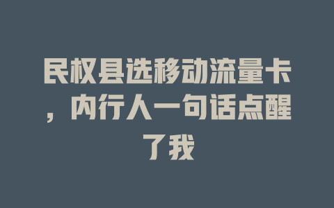 民权县选移动流量卡，内行人一句话点醒了我
