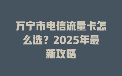 万宁市电信流量卡怎么选？2025年最新攻略