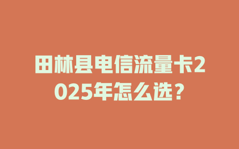 田林县电信流量卡2025年怎么选？