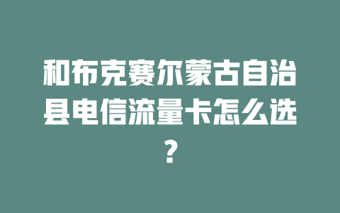 和布克赛尔蒙古自治县电信流量卡怎么选？