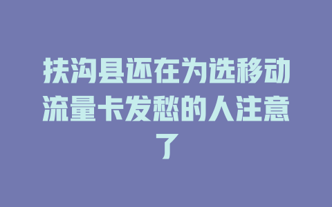 扶沟县还在为选移动流量卡发愁的人注意了