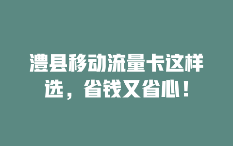 澧县移动流量卡这样选，省钱又省心！