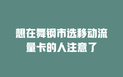 想在舞钢市选移动流量卡的人注意了
