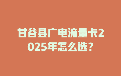 甘谷县广电流量卡2025年怎么选？