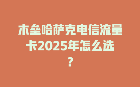 木垒哈萨克电信流量卡2025年怎么选？