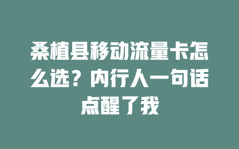 桑植县移动流量卡怎么选？内行人一句话点醒了我