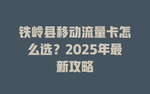 铁岭县移动流量卡怎么选？2025年最新攻略
