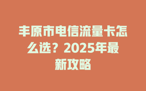 丰原市电信流量卡怎么选？2025年最新攻略