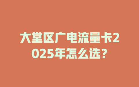 大堂区广电流量卡2025年怎么选？