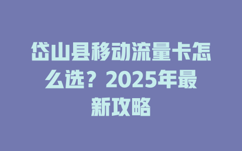 岱山县移动流量卡怎么选？2025年最新攻略