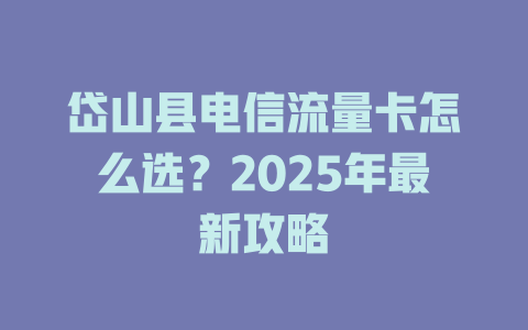 岱山县电信流量卡怎么选？2025年最新攻略