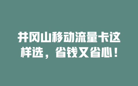井冈山移动流量卡这样选，省钱又省心！